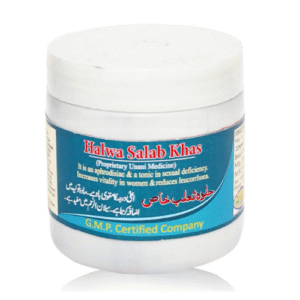 Halwa Salab Khas